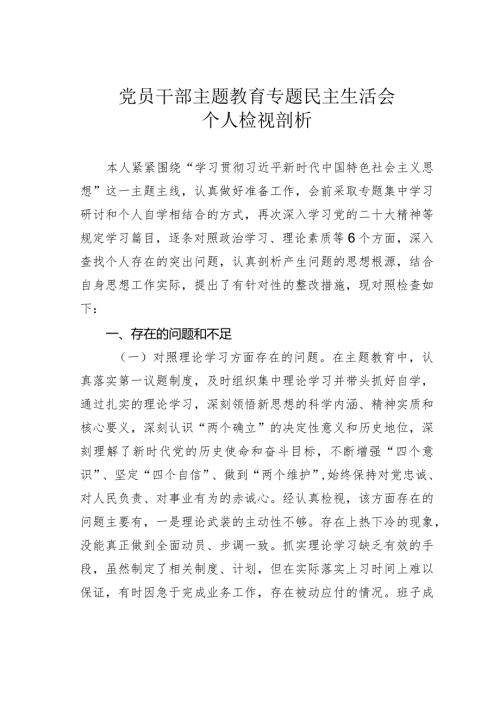 党员干部主题教育专题民主生活会个人检视剖析材料(1).docx