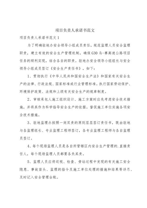 项目负责人承诺书范文.docx