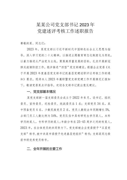 某某公司党支部书记2023年党建述评考核工作述职报告(1).docx