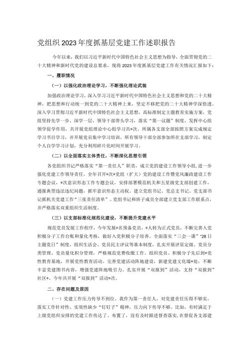 党组织2023抓基层党建工作述职报告.docx