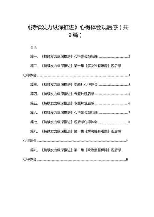 （9篇）《持续发力纵深推进》心得体会观后感通用(1).docx