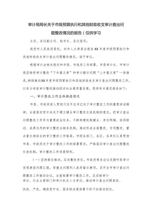 审计局局长关于市级预算执行和其他财政收支审计查出问题整改情况的报告.docx