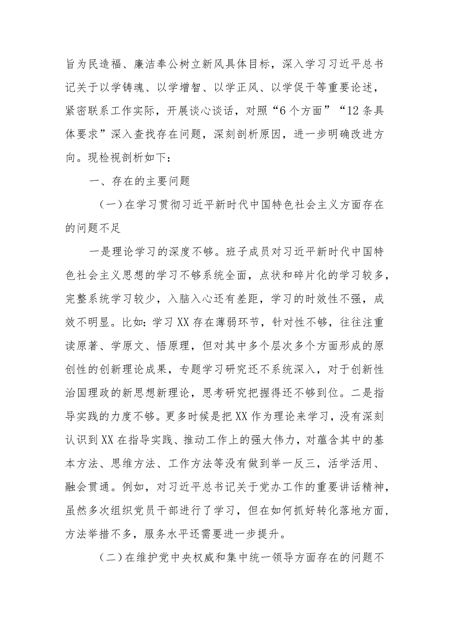 2篇班子2024专题民主生活会新九个方面检视剖析材料(含典型案例剖析、在树立和践行正确政绩观方面).docx_第2页