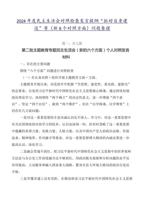 2024民主生活会对照检查发言提纲“抓好自身建设”等（新6个对照方面）问题查摆.docx