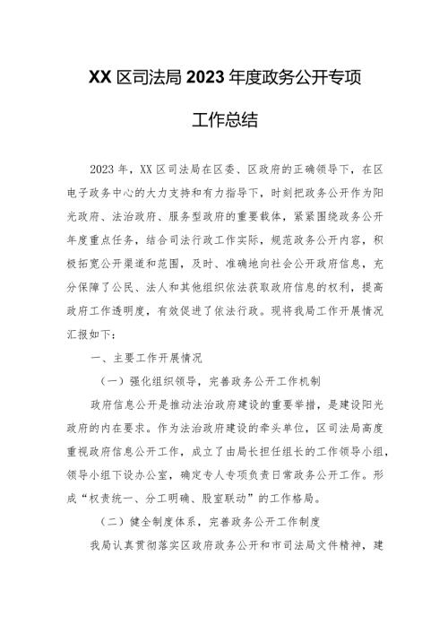 XX区司法局2023政务公开专项工作总结.docx