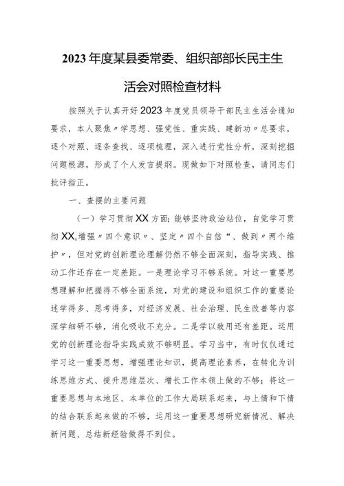 2023某县委常委、组织部部长民主生活会对照检查材料.docx