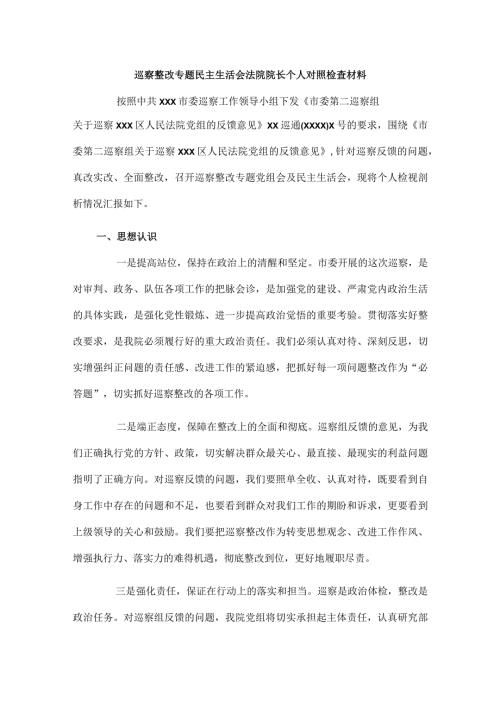 巡察整改专题民主生活会法院院长个人对照检查材料.docx
