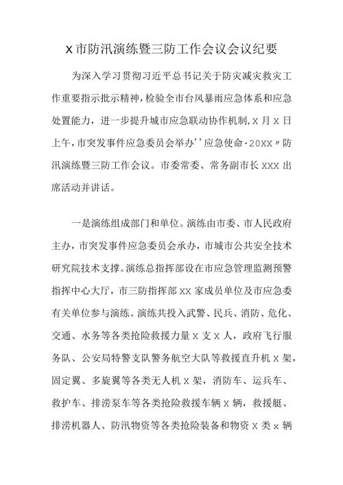 X市防汛演练暨三防工作会议会议纪要.docx