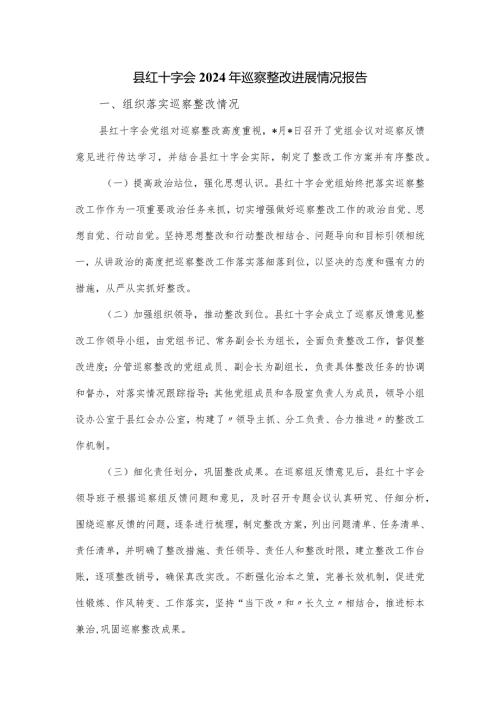 县红十字会2024年巡察整改进展情况报告.docx