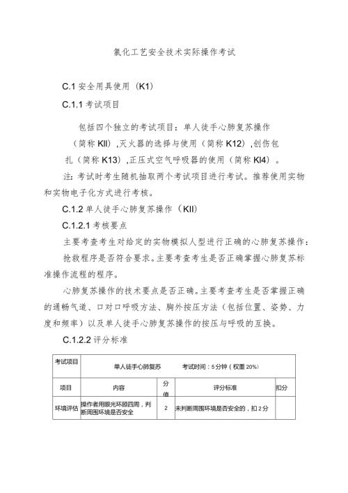 氯化工艺安全技术实际操作考试.docx