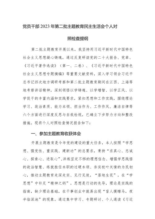 党员干部2023年第二批主题教育民主生活会个人对照检查提纲范文3篇.docx