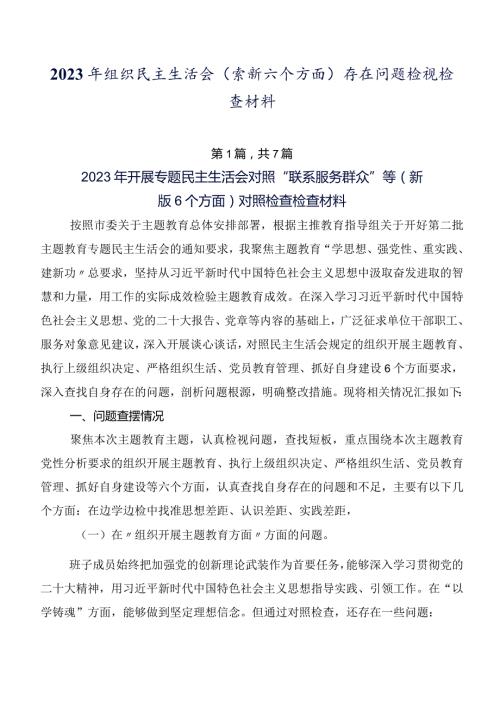 2023年组织民主生活会(最新六个方面)存在问题检视检查材料.docx