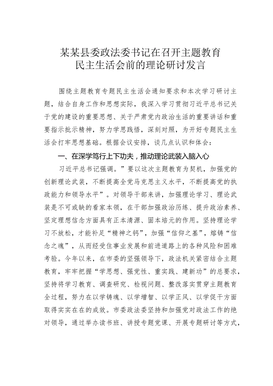 某某县委政法委书记在召开主题教育民主生活会前的理论研讨发言(1).docx_第1页
