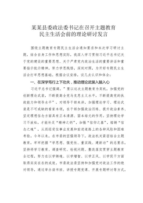 某某县委政法委书记在召开主题教育民主生活会前的理论研讨发言(1).docx