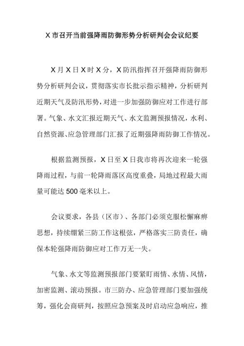 X市召开当前强降雨防御形势分析研判会会议纪要.docx