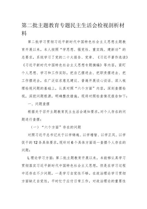 第二批主题教育专题民主生活会检视剖析材料.docx