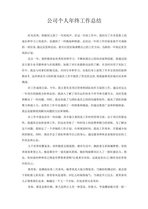 公司个人年终工作总结.docx