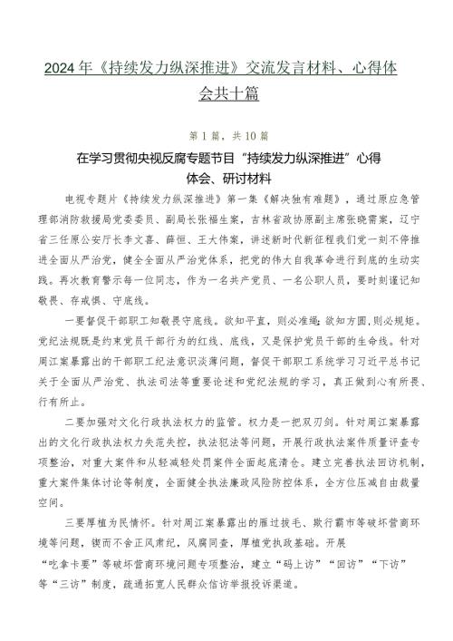 2024年《持续发力纵深推进》交流发言材料、心得体会共十篇.docx