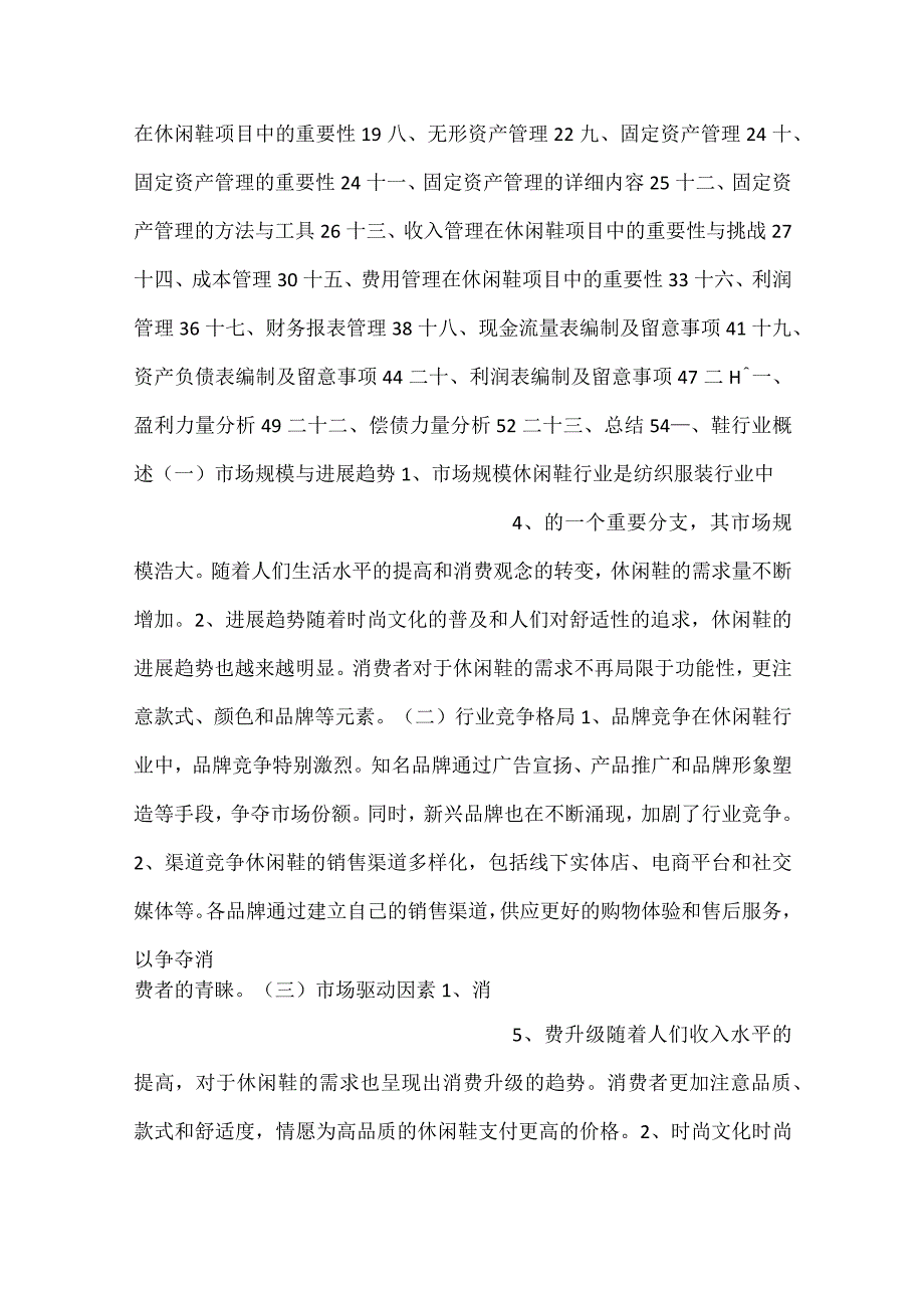 休闲鞋项目财务管理方案范文内容.docx_第2页