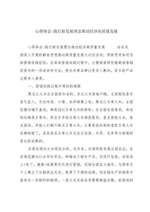 心得体会践行新发展理念推动经济高质量发展.docx