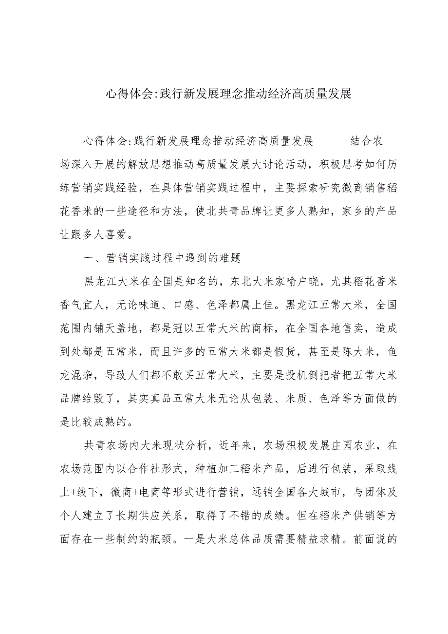 心得体会践行新发展理念推动经济高质量发展.docx_第1页