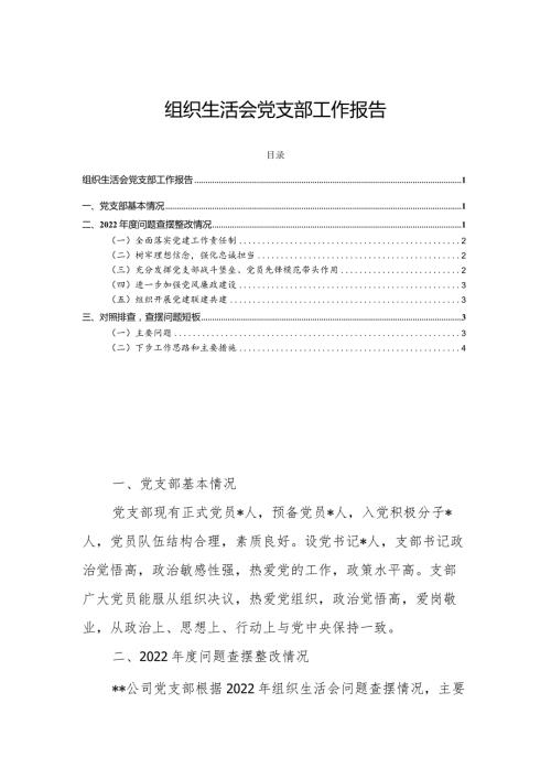 组织生活会党支部工作报告.docx