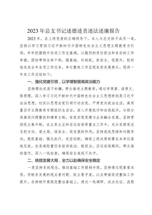 2篇20232024年总支书记述德述责述法述廉报告.docx