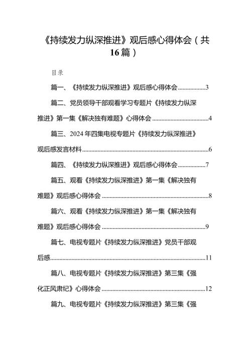 《持续发力纵深推进》观后感心得体会(精选16篇汇编).docx