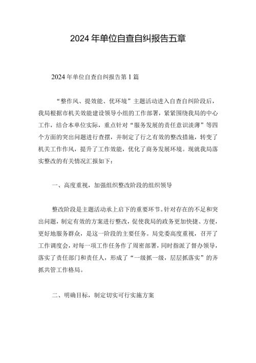 2024年单位自查自纠报告五章.docx