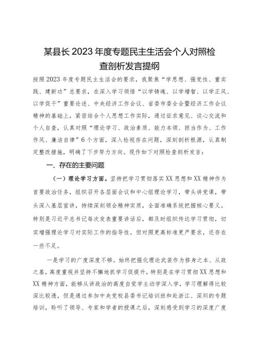 某县长2023主题教育专题民主生活会个人对照检查剖析发言提纲.docx