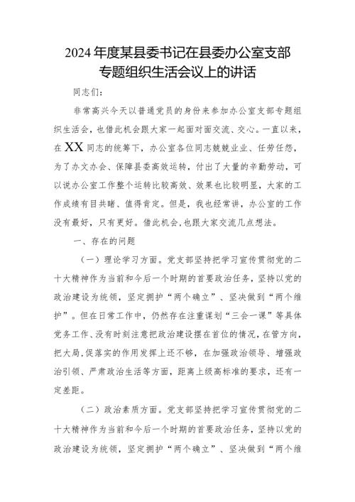 2024某县委书记在县委办公室支部专题组织生活会议上的讲话.docx