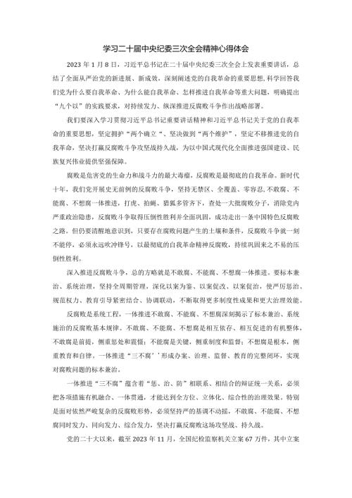 学习二十中央纪委三次全会精神心得体会五.docx