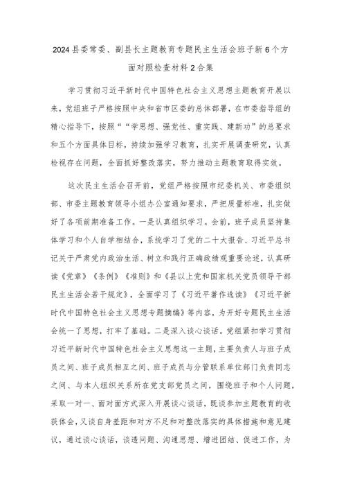 2024县委常委、副县长主题教育专题民主生活会班子新6个方面对照检查材料2合集.docx