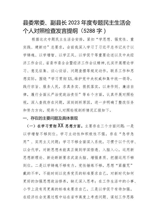 副县长2023专题民主生活会个人对照检查发言（践行宗旨等6个方面）.docx