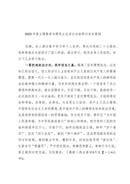 2023主题教育专题民主生活会会前研讨发言提纲.docx
