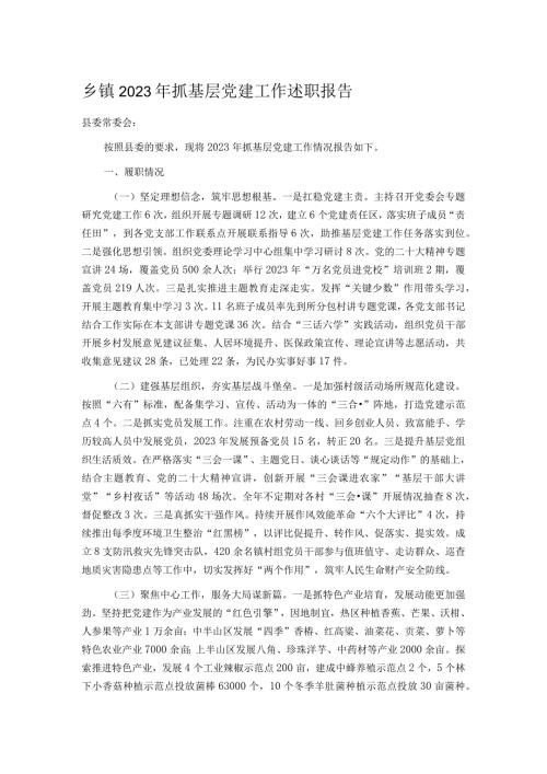 乡镇2023年抓基层党建工作述职报告.docx