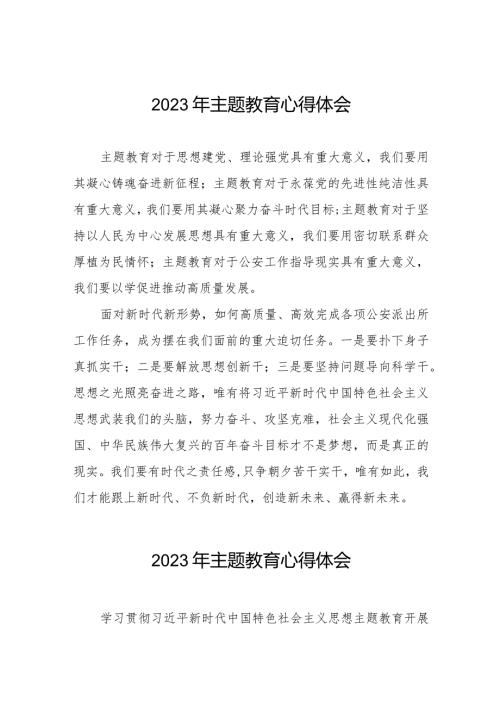 公安民警2023年主题教育心得体会研讨发言八篇.docx