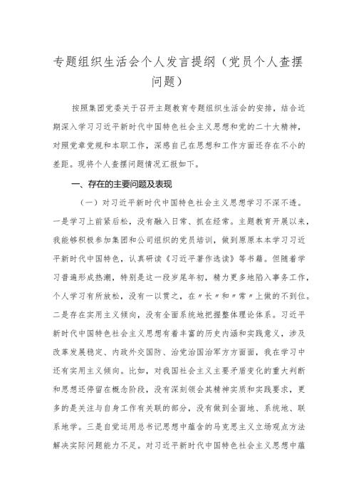 2篇国企公司党支部20232024专题组织生活会个人发言提纲（党员个人查摆问题）.docx