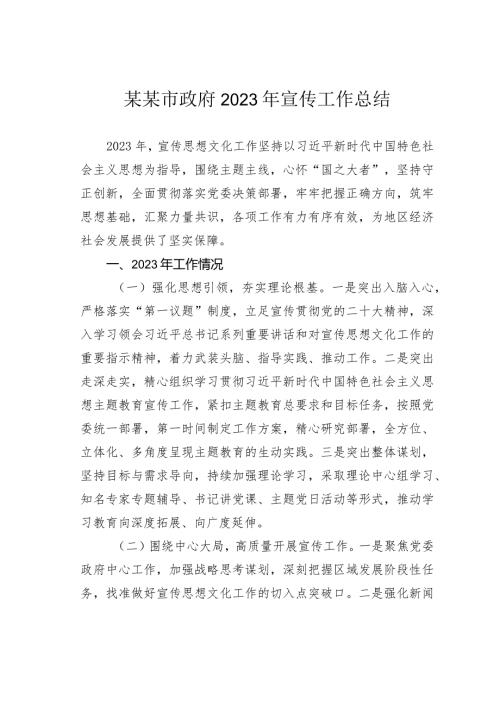 某某市政府2023年宣传工作总结(1).docx