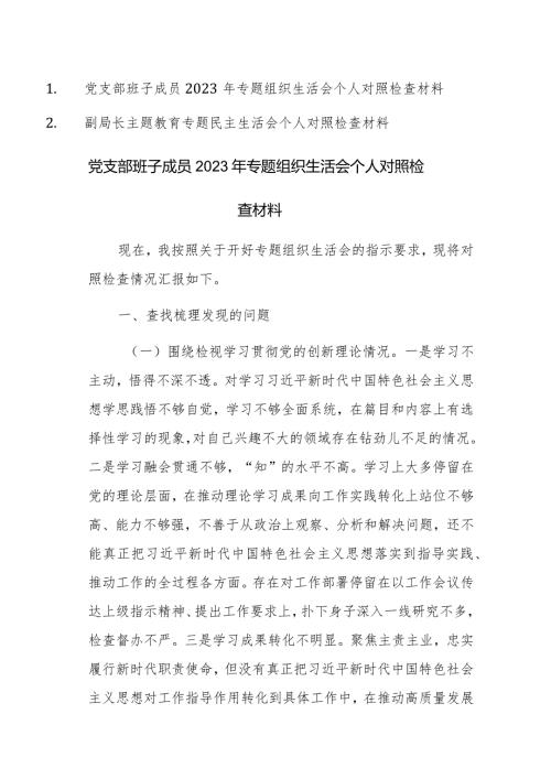 党支部班子成员、领导2023年专题组织生活会个人对照检查材料范文2篇.docx