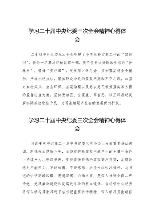 纪检干部关于学习二十中央纪委三次全会精神心得体会十九篇.docx
