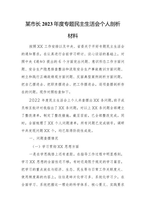 某市长2023专题民主生活会个人剖析材料.docx