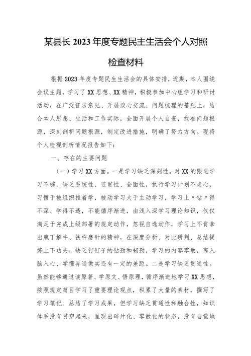 某县长2023专题民主生活会个人对照检查材料.docx