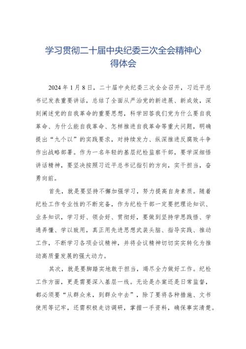 纪检监察干部学习贯彻二十中央纪委三次全会精神心得体会十二篇.docx