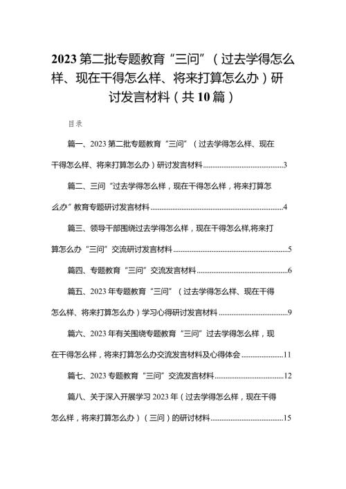 第二批专题教育“三问”（过去学得怎么样、现在干得怎么样、将来打算怎么办）研讨发言材料10篇供参考.docx
