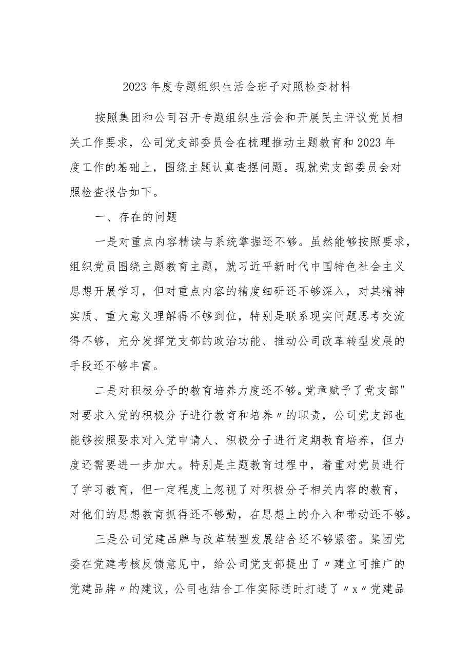 国企公司党支部班子20232024专题组织生活会班子对照检查材料.docx_第1页