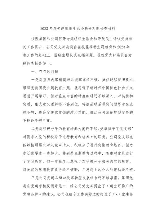 国企公司党支部班子20232024专题组织生活会班子对照检查材料.docx
