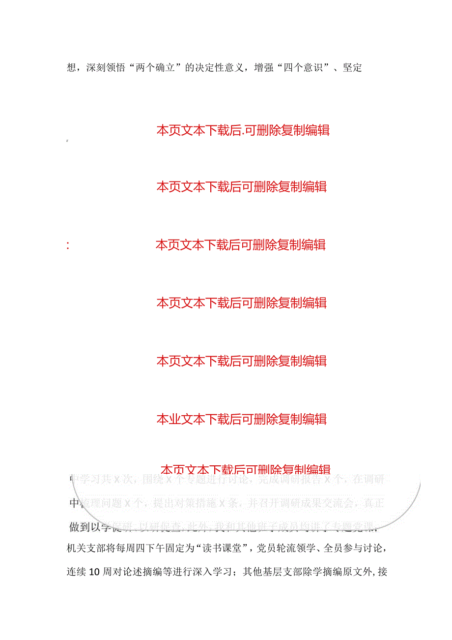 关于党支部书记抓基层党建工作述职报告.docx_第2页
