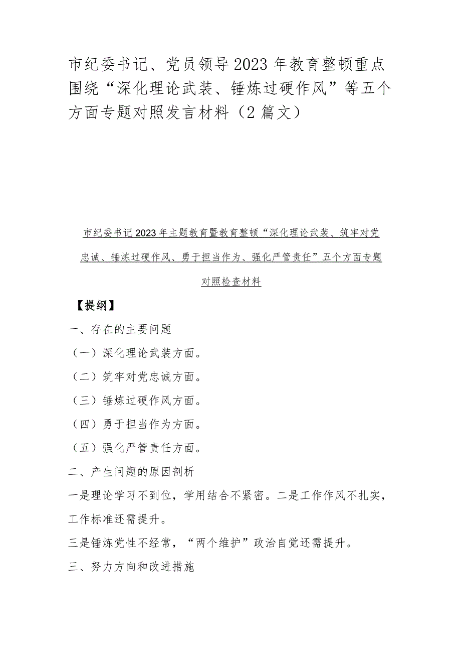 市纪委书记、党员领导2023年教育整顿重点围绕“深化理论武装、锤炼过硬作风”等五个方面专题对照发言材料（2篇文）.docx_第1页