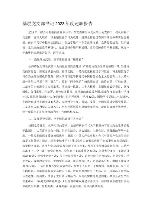 基层党支部书记2023述职报告.docx